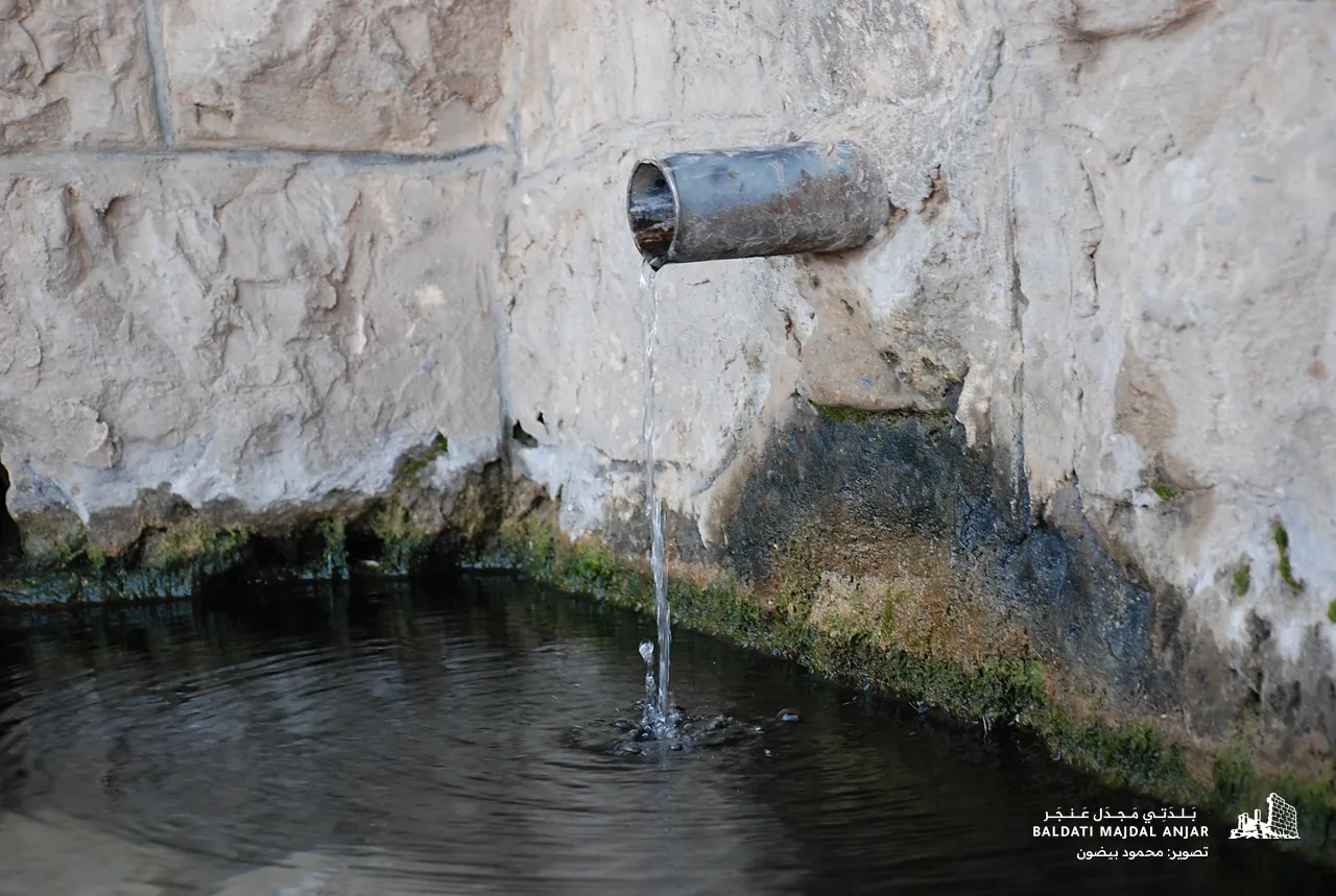 ماء النبعة